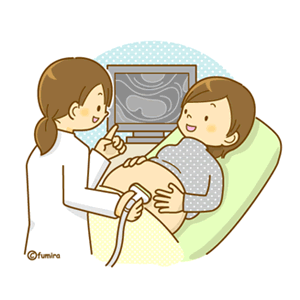 胎児循環器科を受診後の流れイメージ